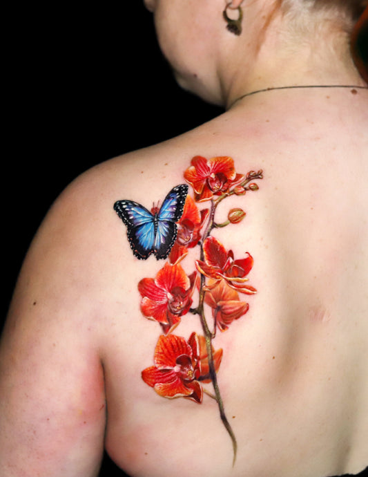 Orchid and Blue Morpho Butterfly