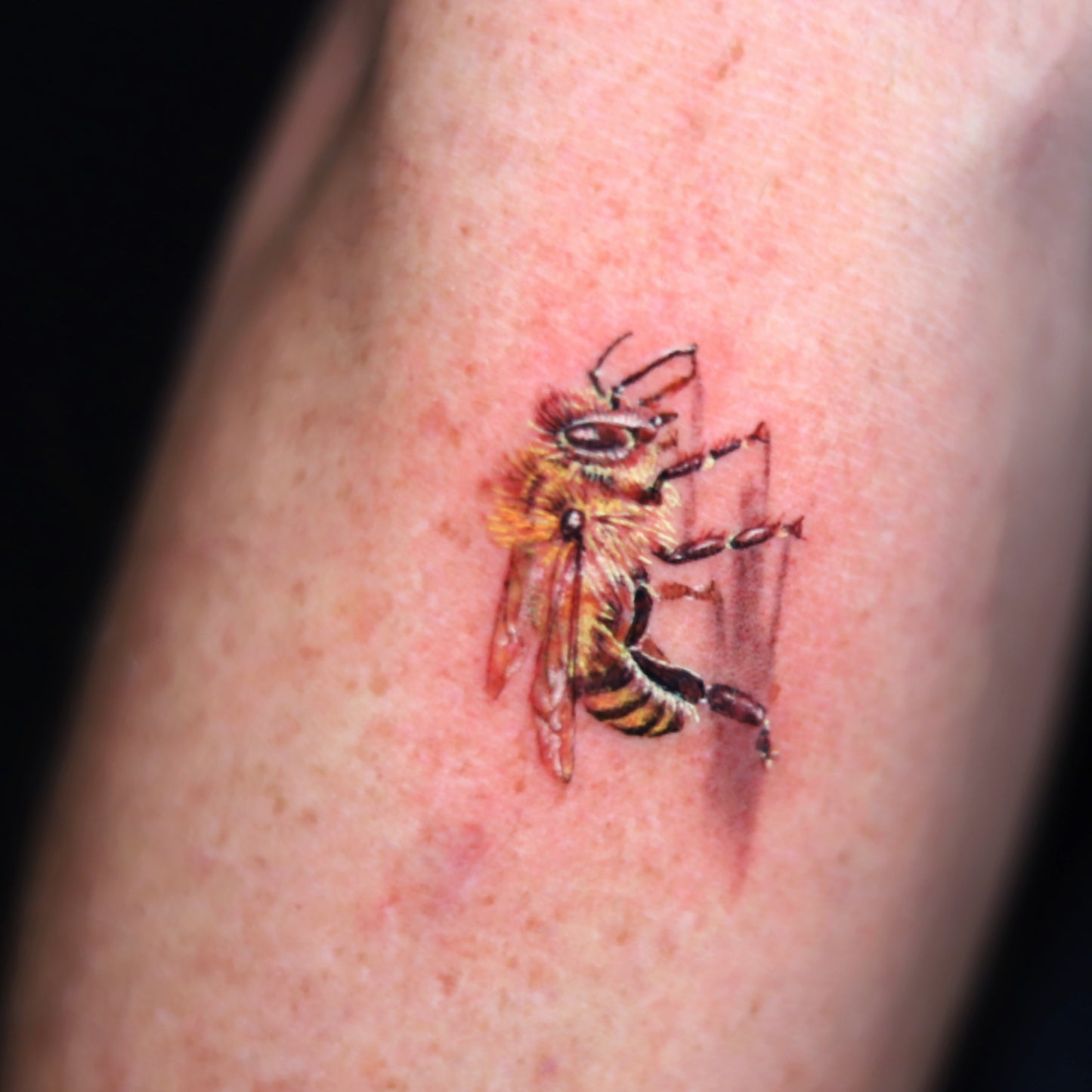 Bee