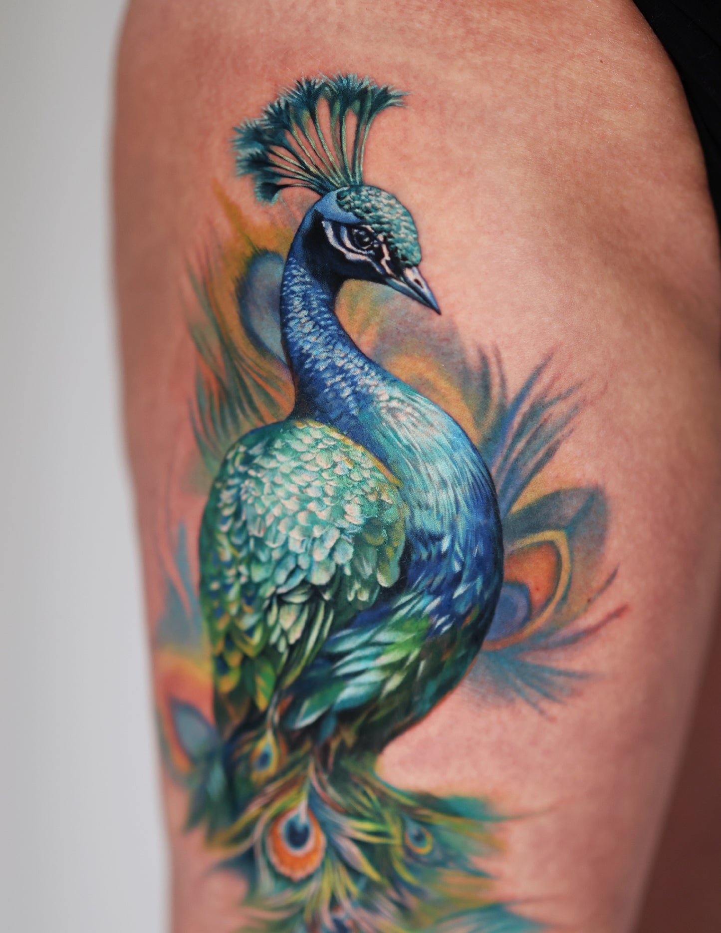 Peacock