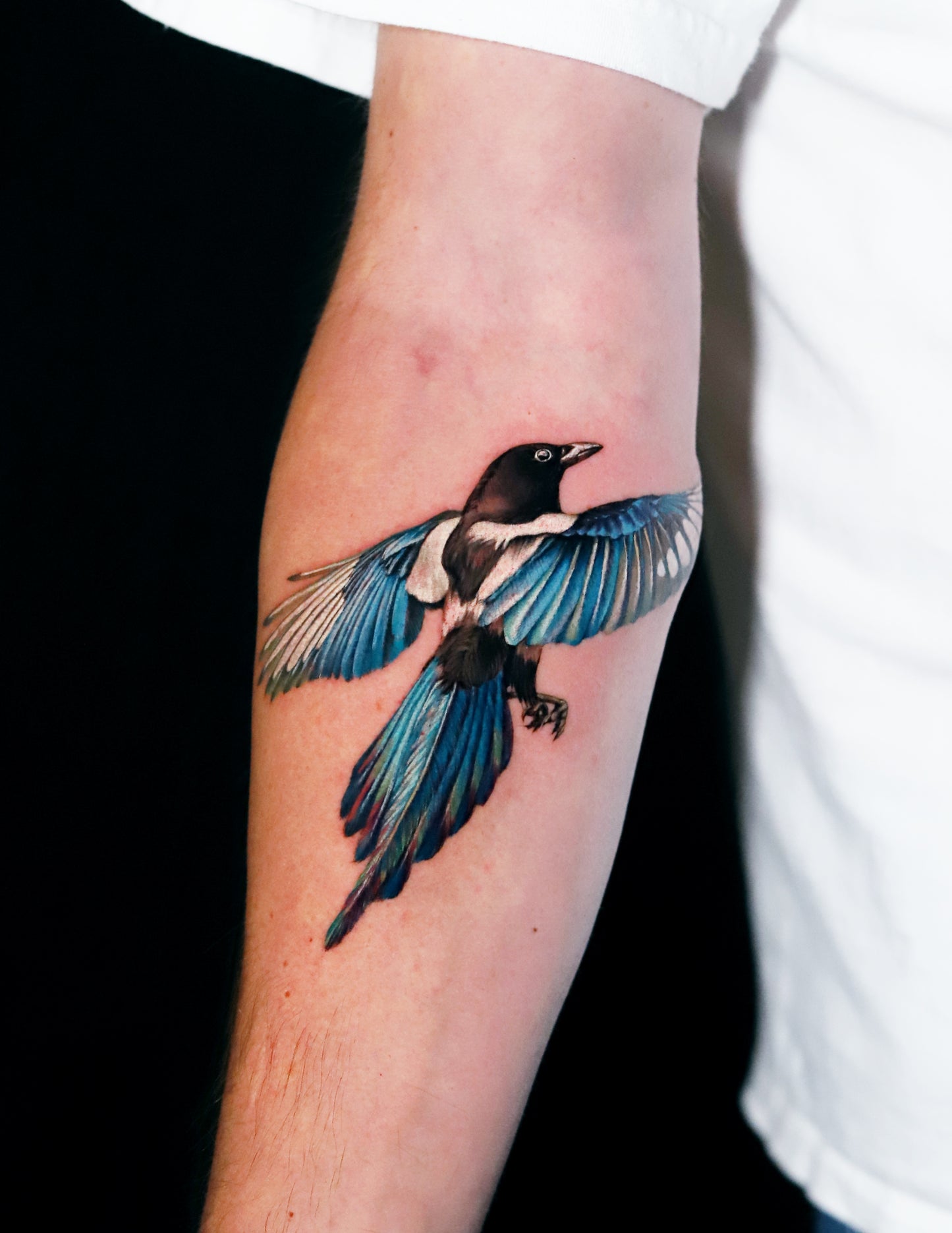Magpie