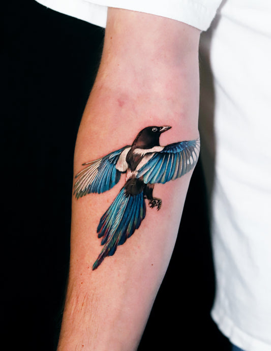 Magpie