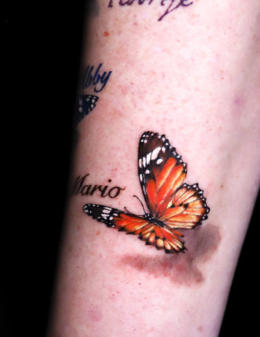 Small Butterflies