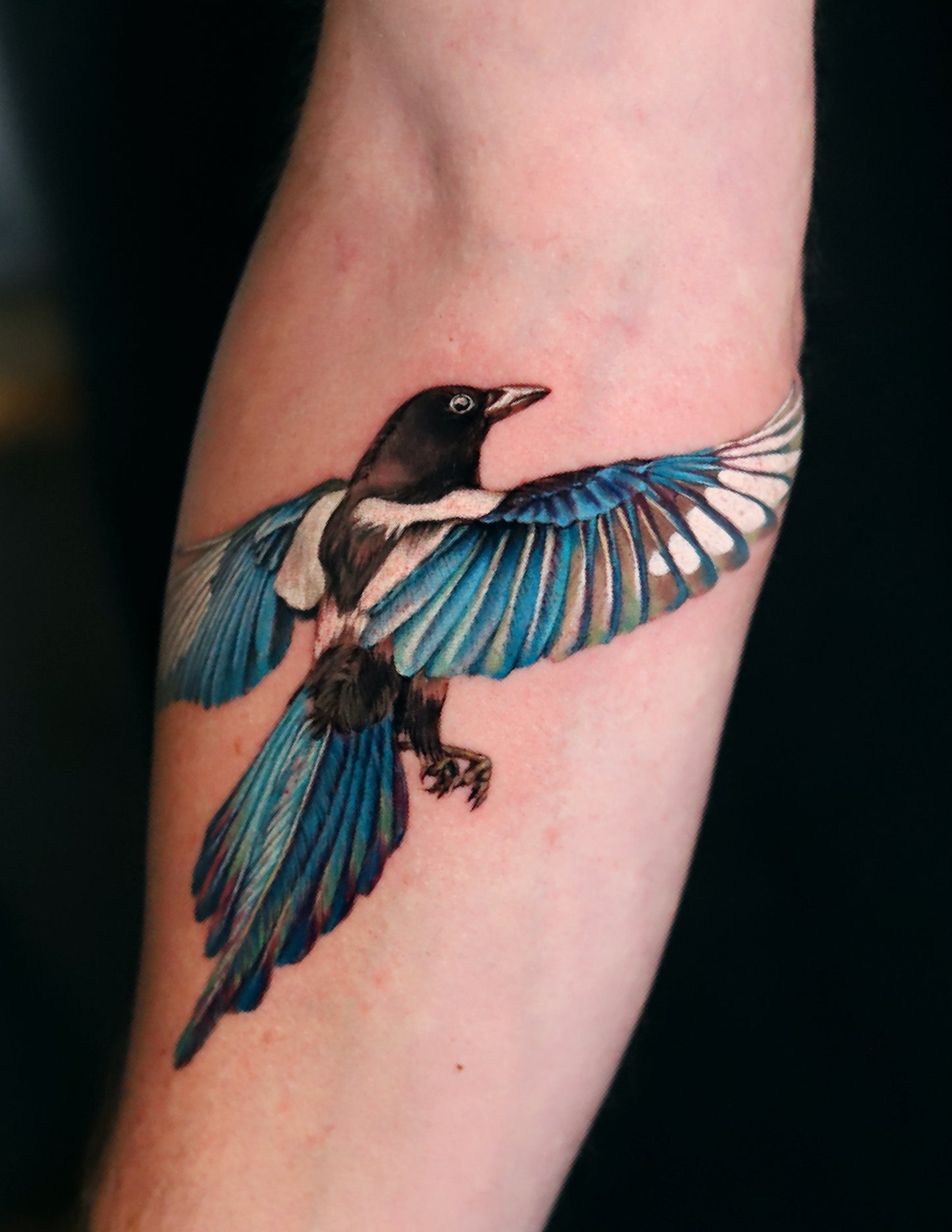 Magpie