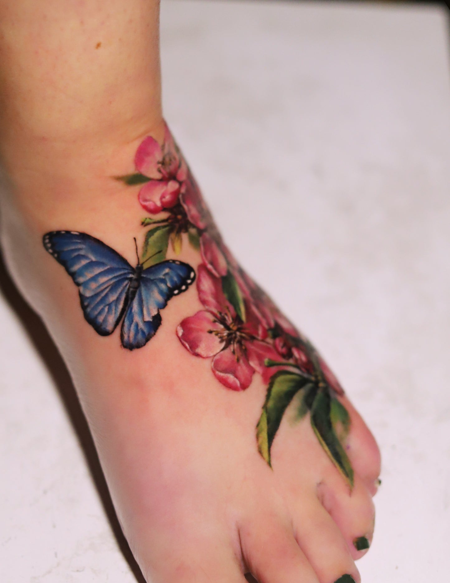 Cherry blossom with a butterfly